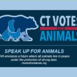 CT Votes for Animals