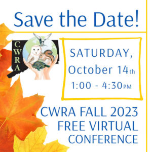 Fall 2023 Virtual Conferance