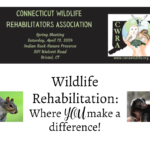 Register for the Spring Meeting Today!